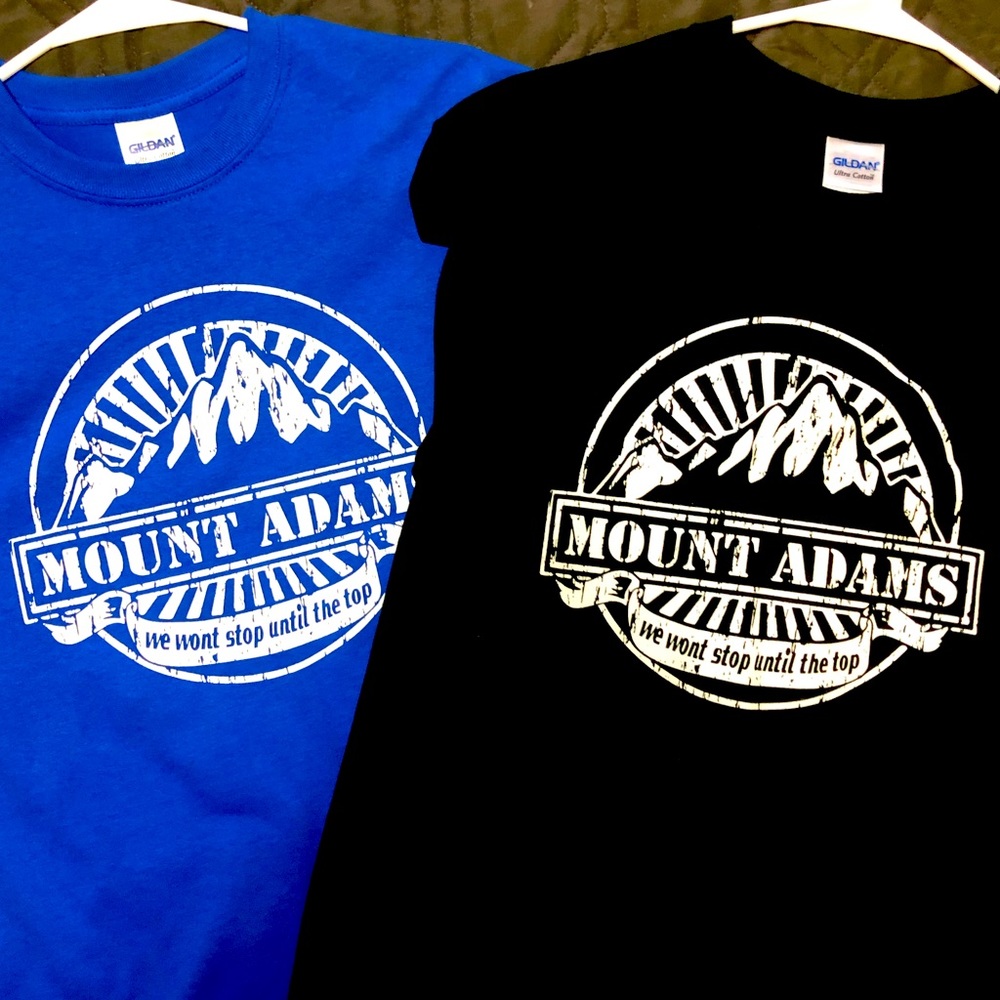 3for$15  NWOT Pair medium Mount Adams T-shirts